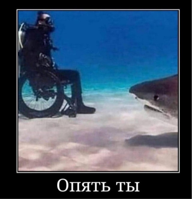 Пятничная Чернота, дорогие деграданты...
