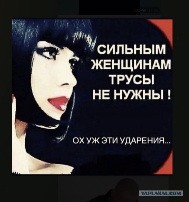 Как девушки, потерявшие трусики, сделали Арта Фрама известным художником
