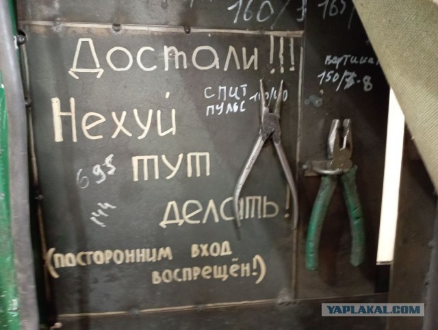 Настенная жизнь обычного завода