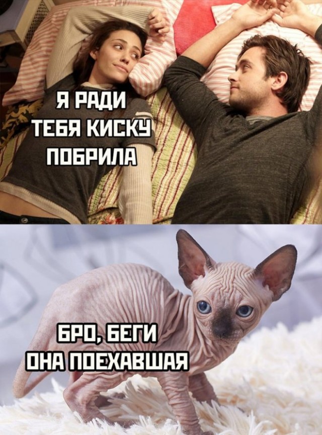 40 картинок разных 12.04.2022