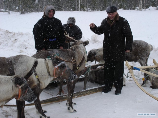 встреча на дороге