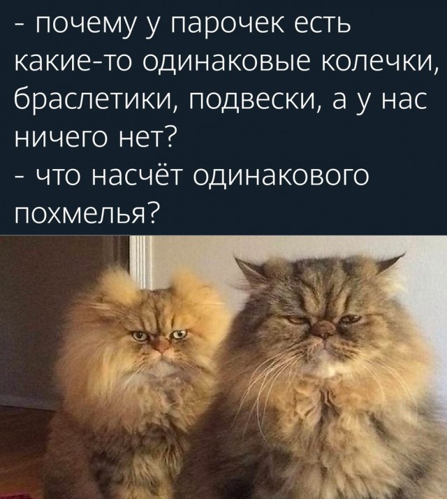 Так себе картинки 08.05.22