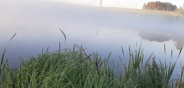 Доброе утро, рыбаки