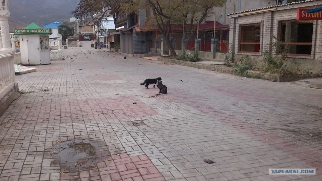 Осенний Коктебель