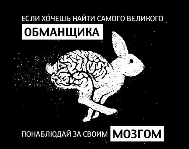 Пандемия съехавших крыш - разновидности болезни. Россия и мир. Часть 44.