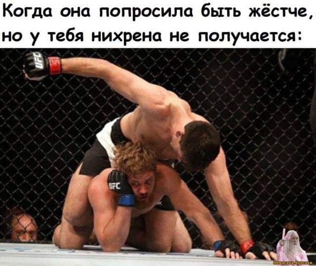 Весёлый полтишок 30.11.22