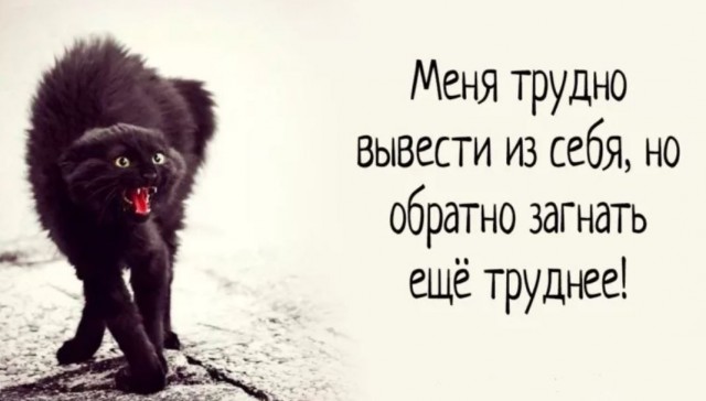 Победная поступь идиотизма по планете – том 12