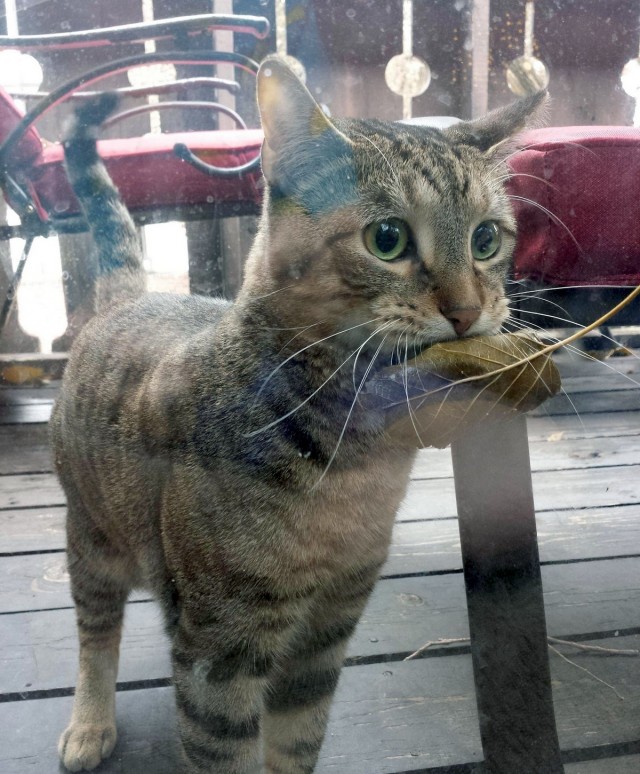 Подборка интересных и веселых картинок