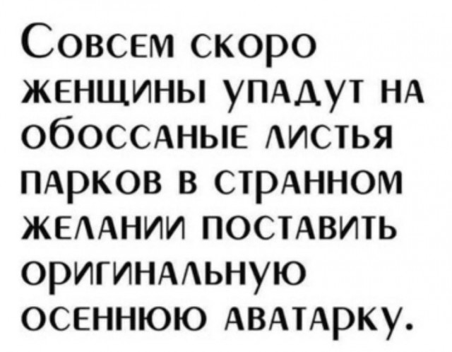 Всего понемногу. От 28.09.2023
