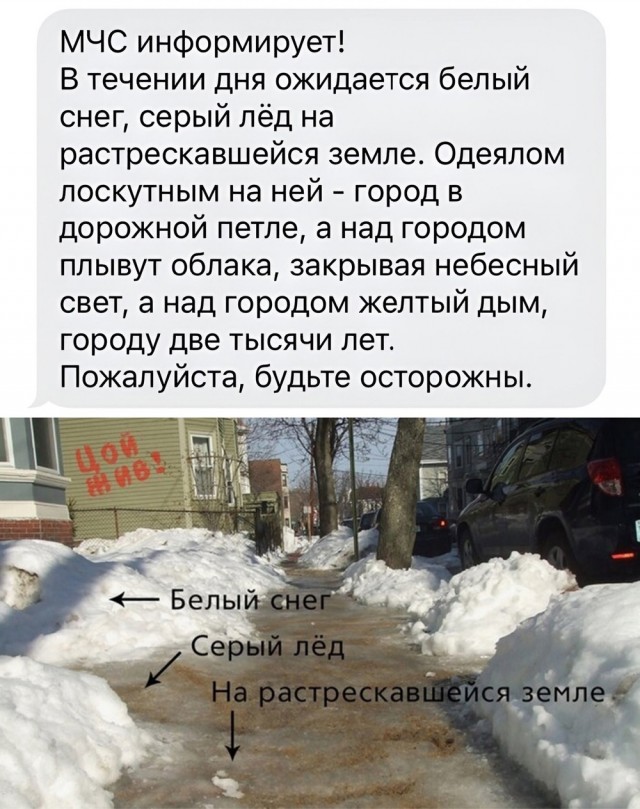 Весёлый полтишок 04.03.24