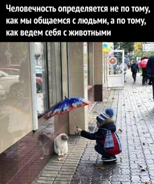 Весёлый полтишок 22.04.24