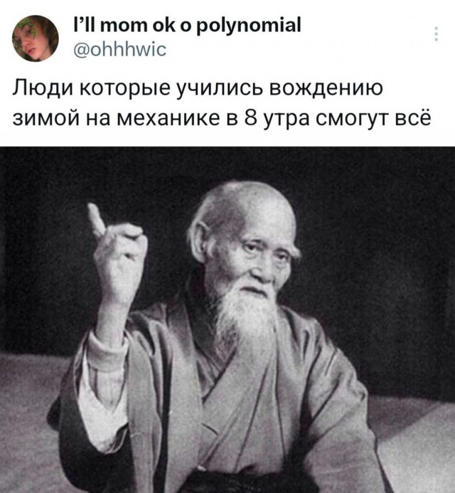 Весёлый полтишок 05.08.24