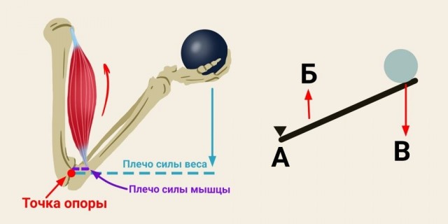 Можно кружечку воды?