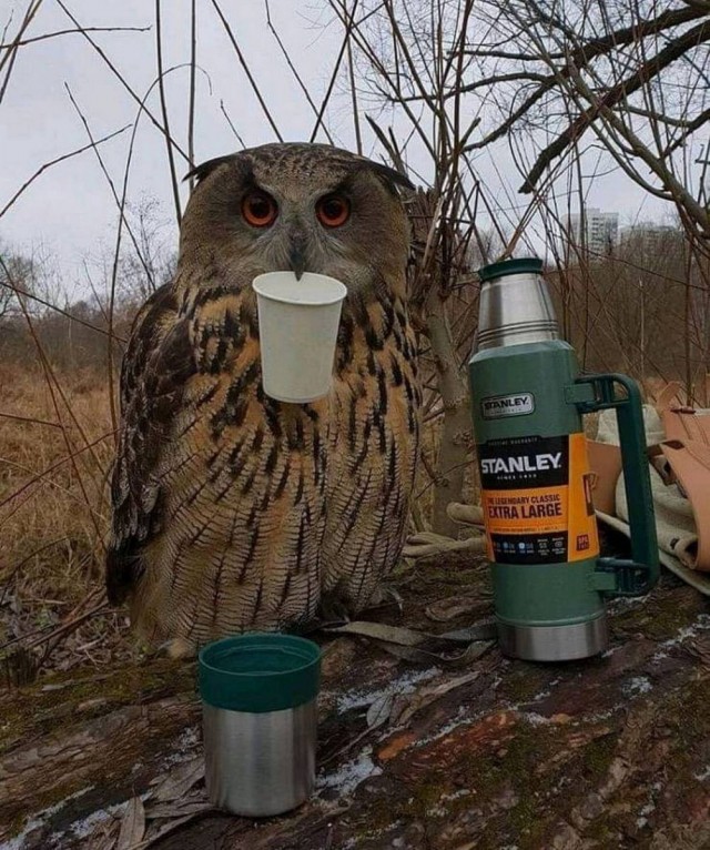 Картинки разные с надписями и без