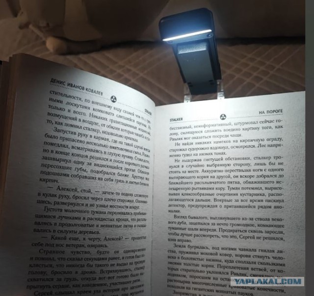 Официально: люди, читающие книги, умнее тех, кто залипает на видосы в соцсетях