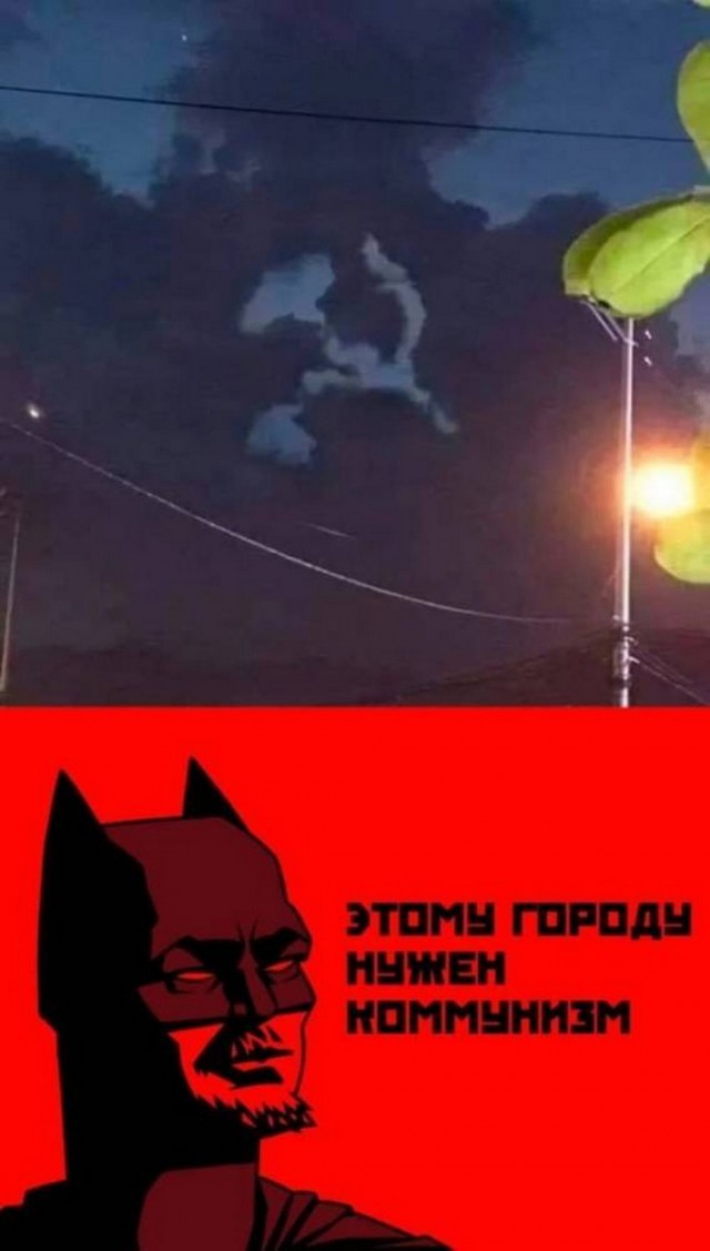 Немного забавных картинок от 22.12.24