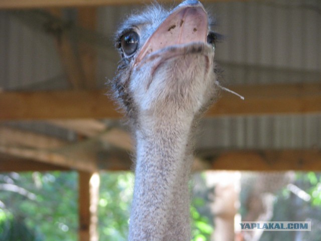 В следующем году цены на сигареты подскочат на 50%