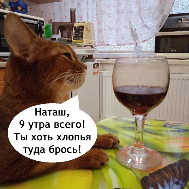 Так себе картинки 18.05.25