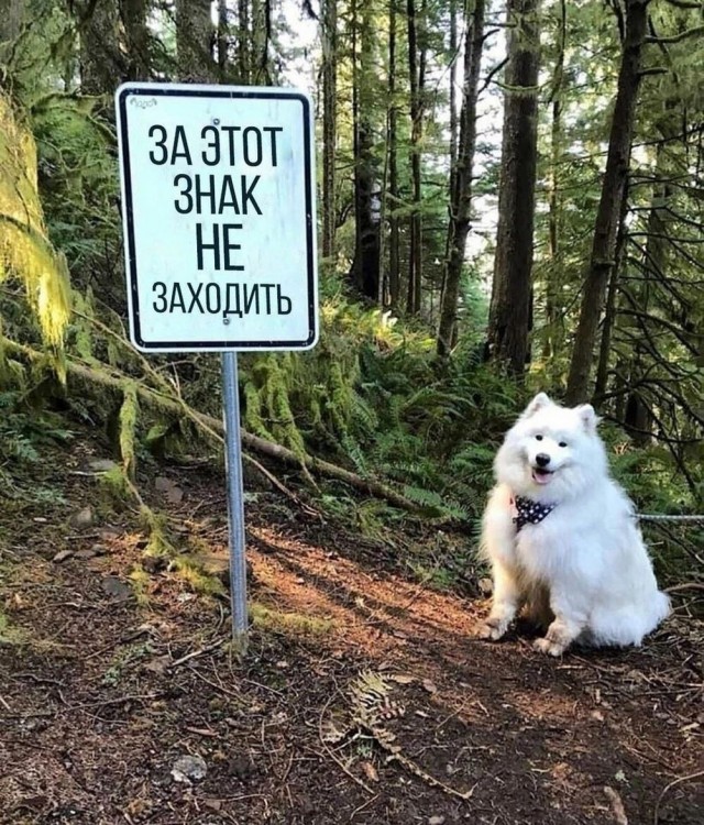 Еб**ины