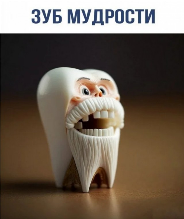 Юмор для тех, кто уже повзрослел и понял, что «личная жизнь» — это кот и плед