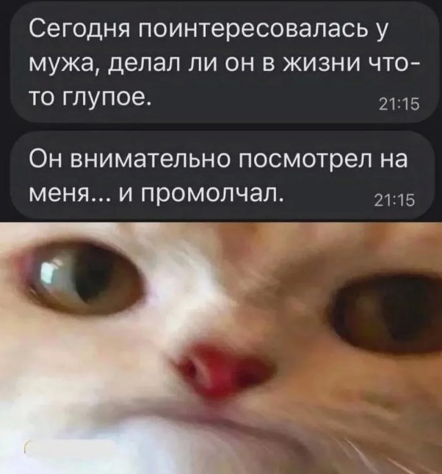 Юмор и порой философия в картинках с буквами за вторник