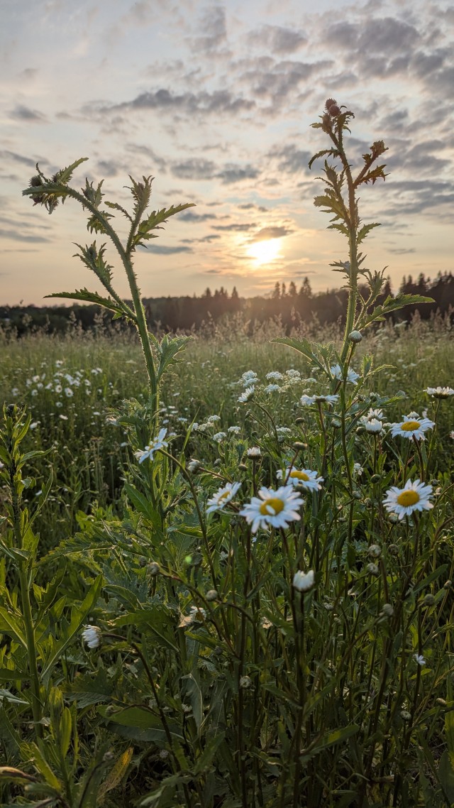 Одной фотки пост