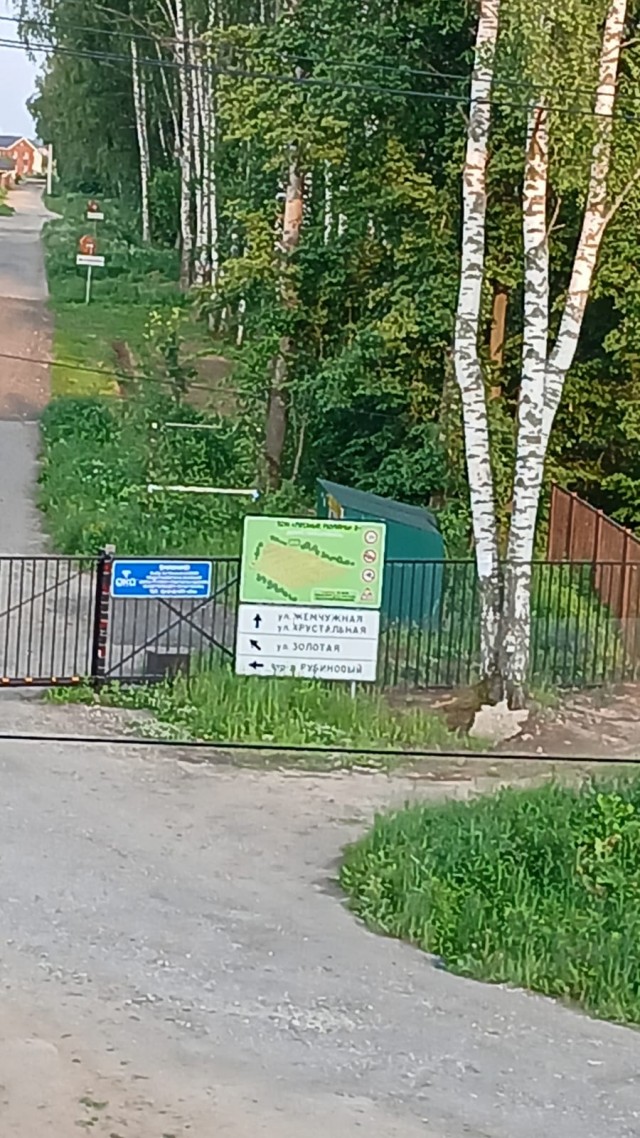 Веселые картинки в маленькую пятницу (11.06)