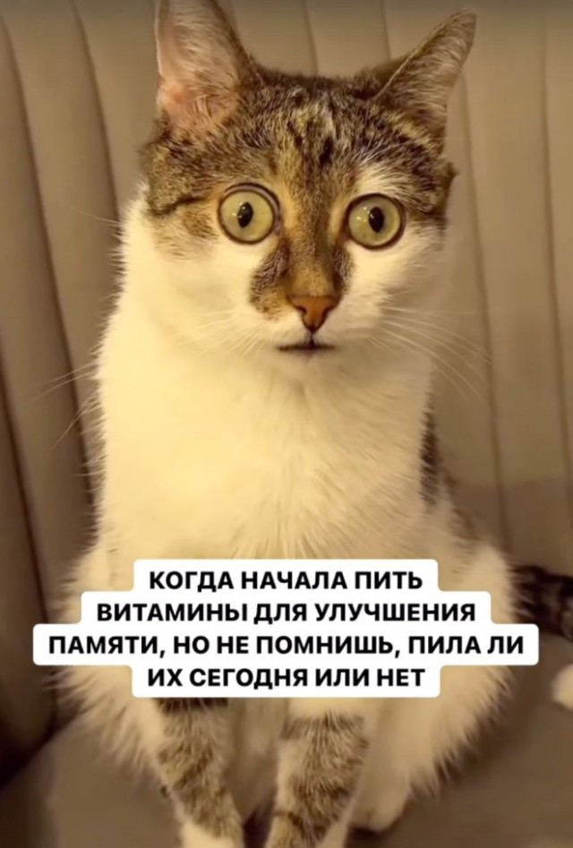10 картинок падонгам для вечернего настроения
