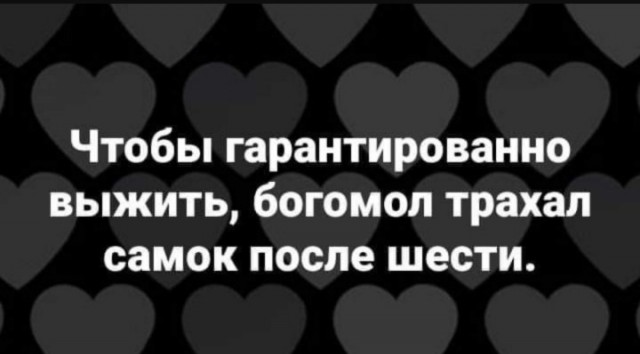 Веселое настроение в картинках (13.07.2025)