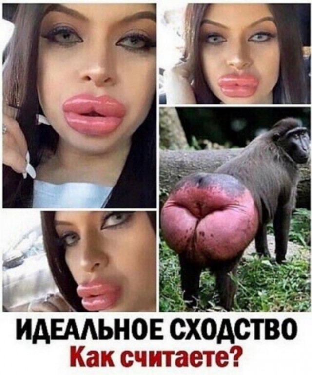Лошади остались в тени: подписчики высмеяли губы блогерши