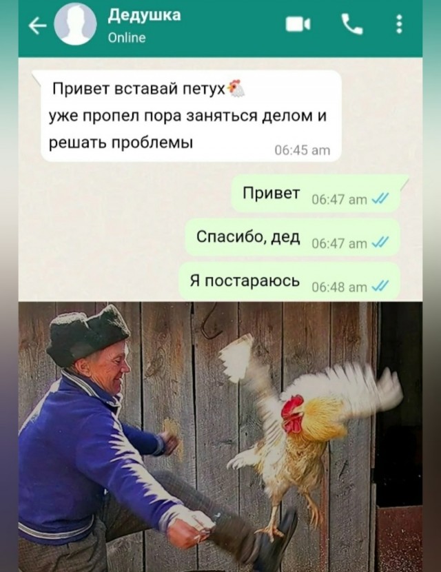 Веселое настроение в картинках 02.11.25