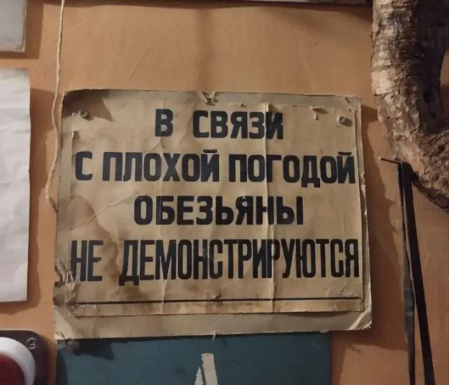 Среда обитания 0.1