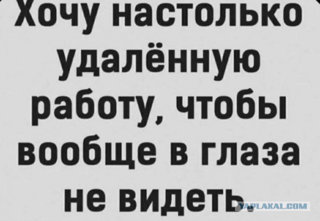 Веселые картинки в маленькую пятницу (12.11)