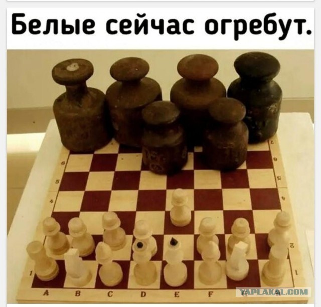 Картинки для деградации 152 (разной степени свежести)