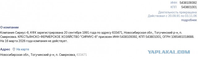 Крупный пожар на ферме в Тогучинском районе Новосибирской области унес жизни более сотни телят