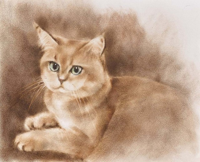Рисунки животных