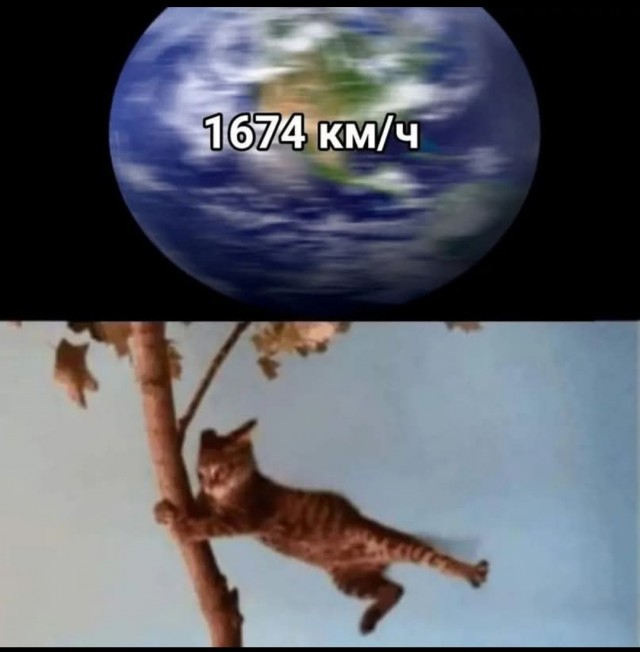 По официальным данным, коллеги.