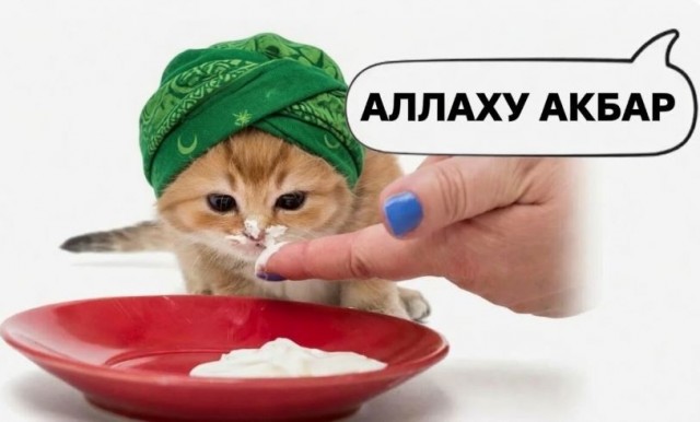Корм