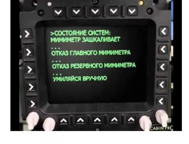 Котятки перекусили