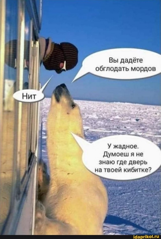 Могли и покормить хотя бы
