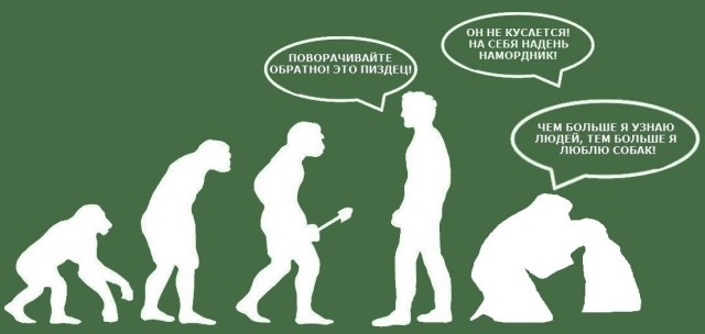 К разговору о собаках...