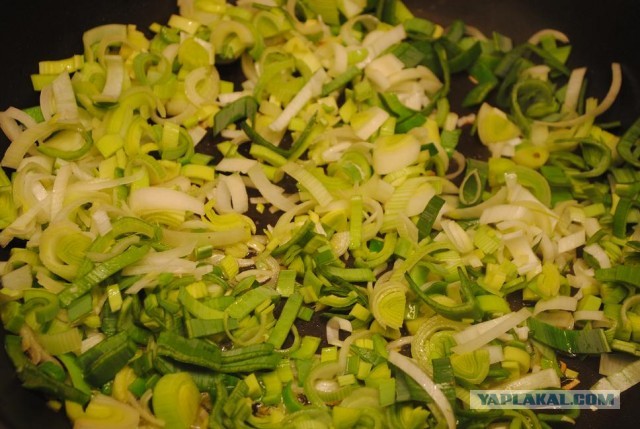 International одной книги., В память о Дженибеке.