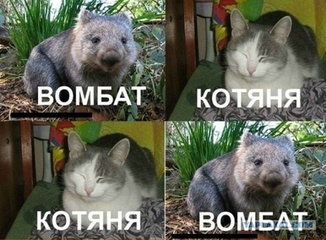 Кому юки отсыпать?