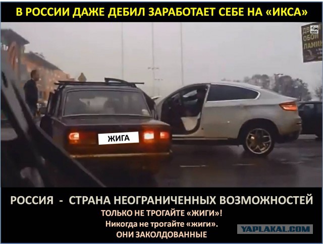 Хотел побыковать - получил по заслугам