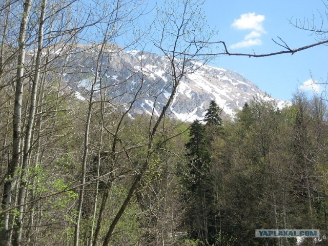 Апрель 2012