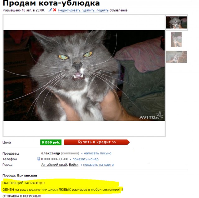 17 самых объявлений с Авито