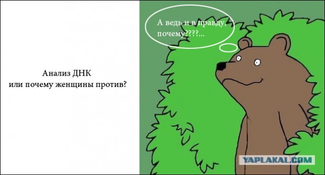 Анализ ДНК или почему женщины против?
