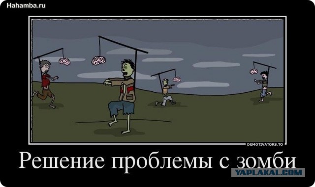 На борту самолета мужчина укусил соседа и умер