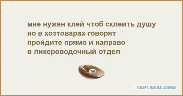 Исчезающая собака