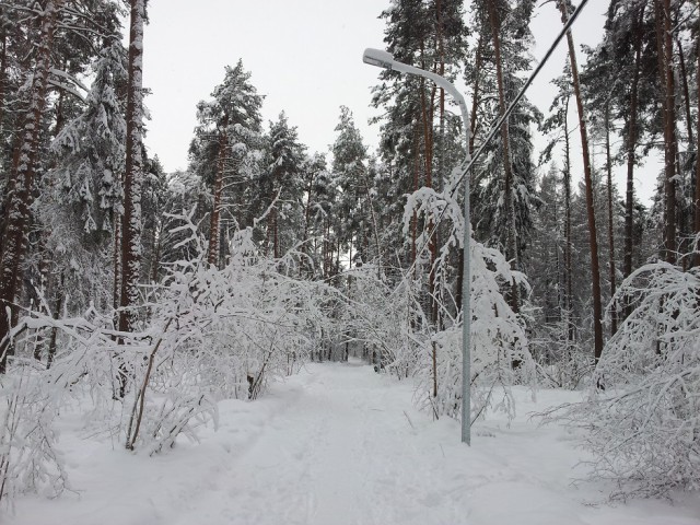 Я узнал, что у меня есть огромная семья